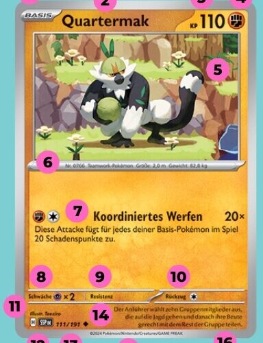 Pokémon Karte Aufbau Erklärbild