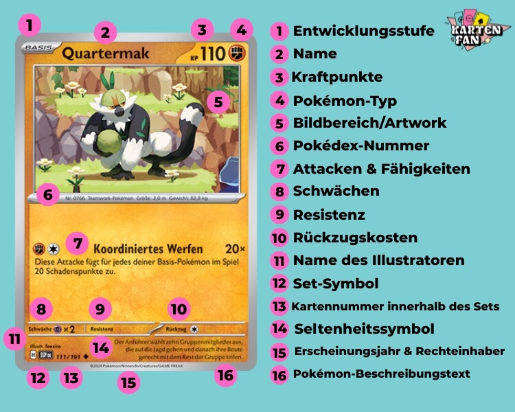 Pokémon Karte Aufbau Schaubild