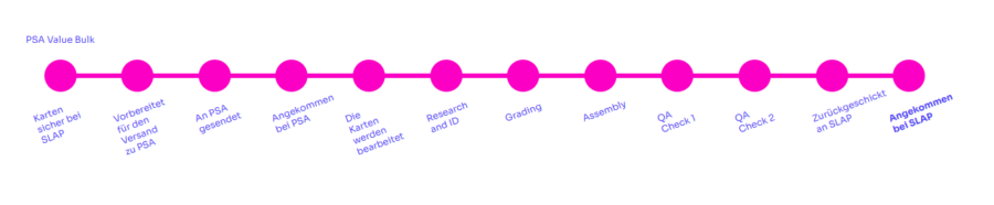 S.L.A.P. – Meine Erfahrung mit PSA-Grading 2 SLAP Bestellverlauf PSA Grading